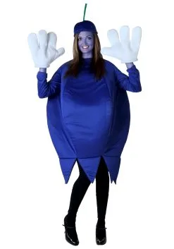 Fun Costumes Adult Blueberry Costume